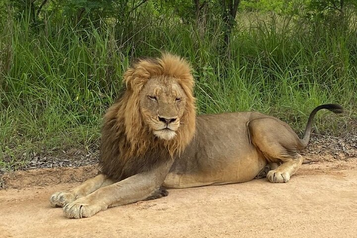 Two Days, One Night Tour: Blyde River to Kruger National Park - Photo 1 of 23